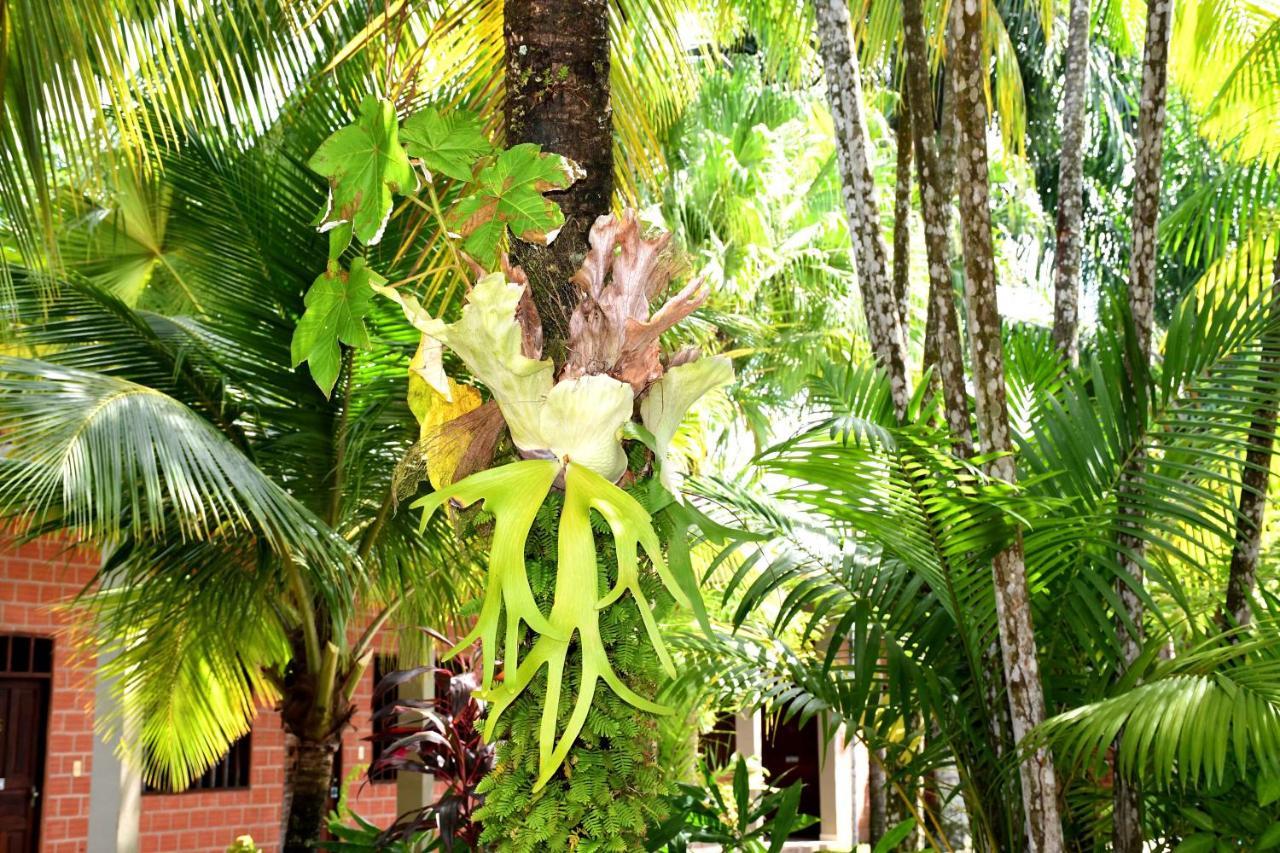 Hotel Ambaibo Rurrenabaque Εξωτερικό φωτογραφία
